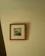 A close-up of a framed watercolor illustration hanging against a soft ochre wall.
