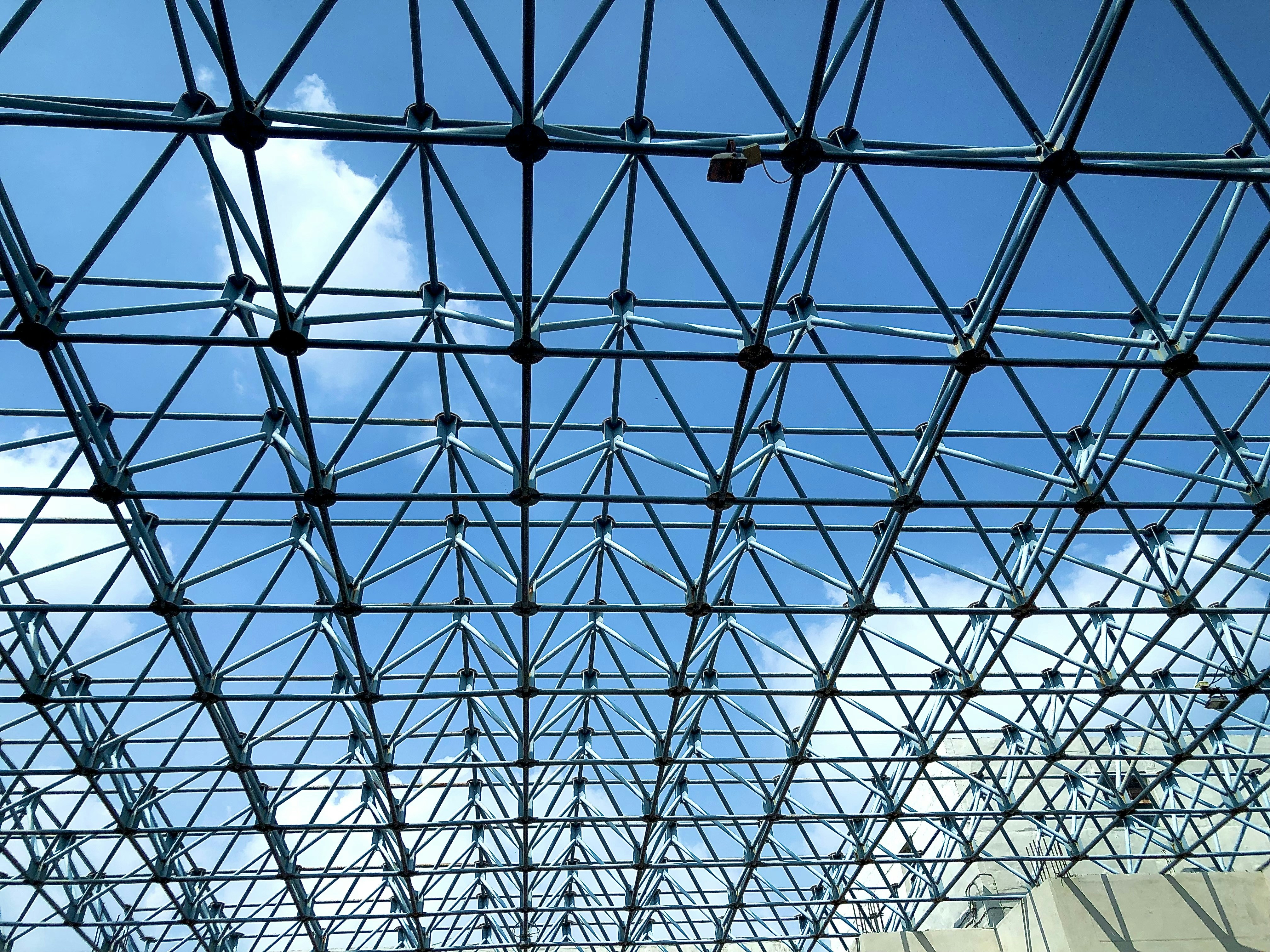 Photo by macroworld0140