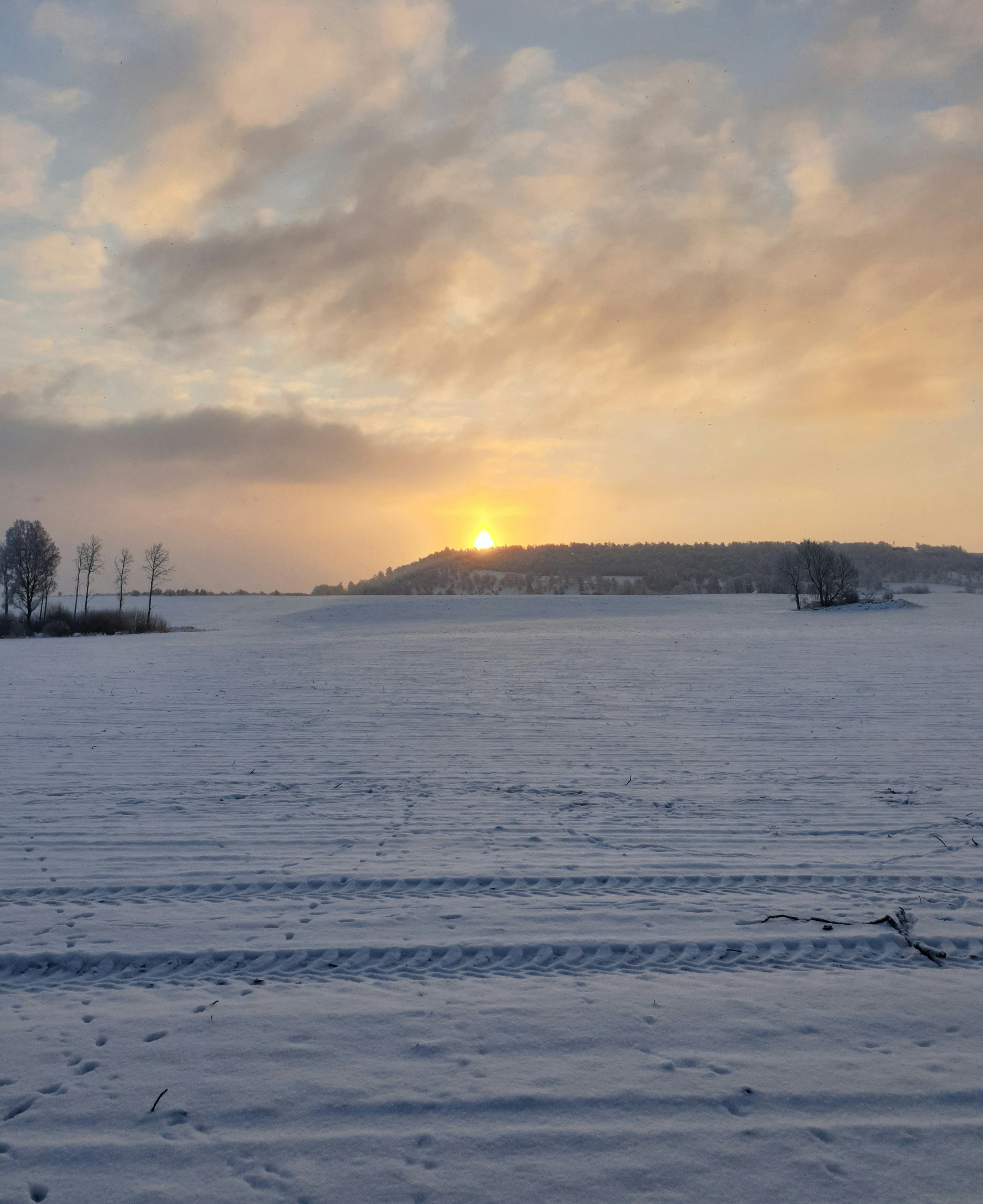 Photo by malka8