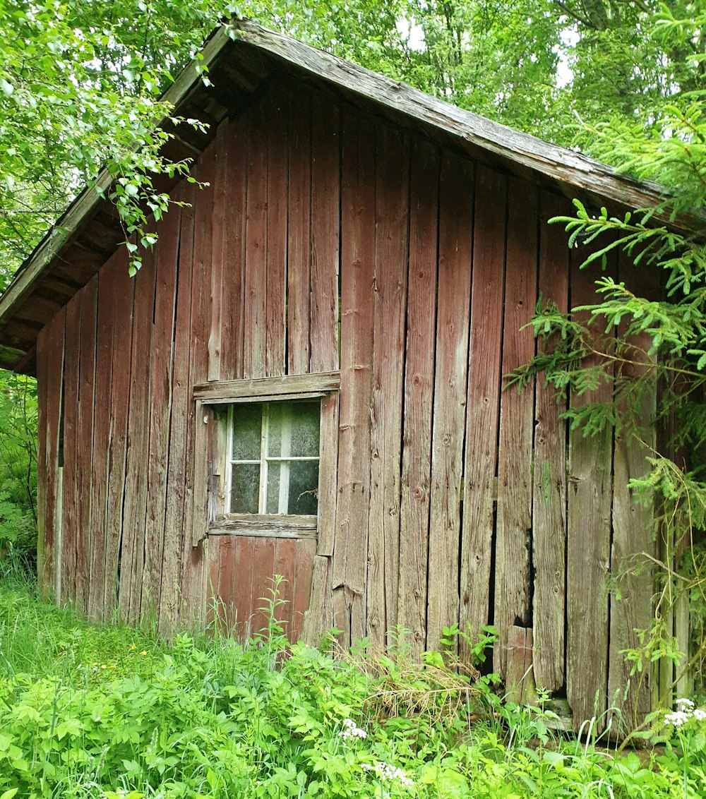 an old wooden shed in the woods with a window