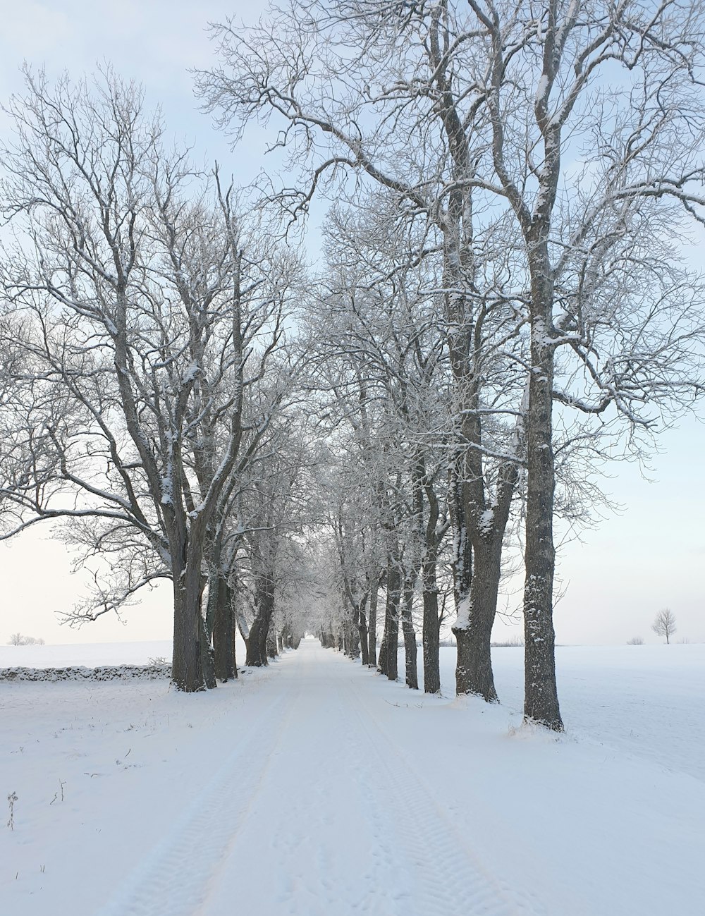 a snow covered road surrounded by trees and snow