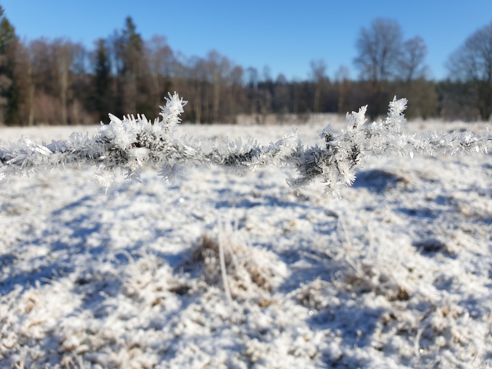 a field covered in snow with trees in the background