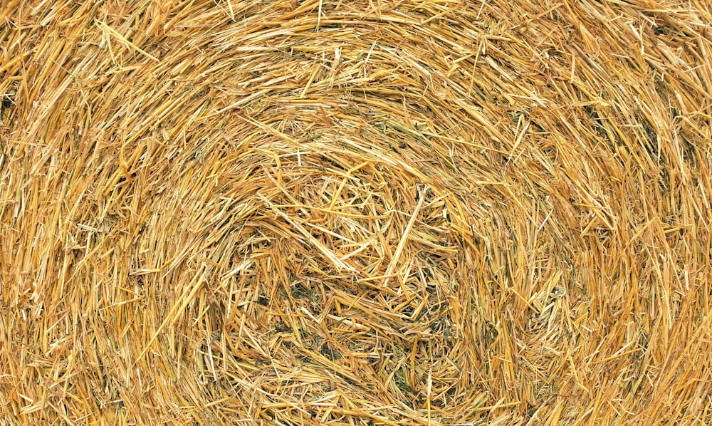 a close up of a bale of hay