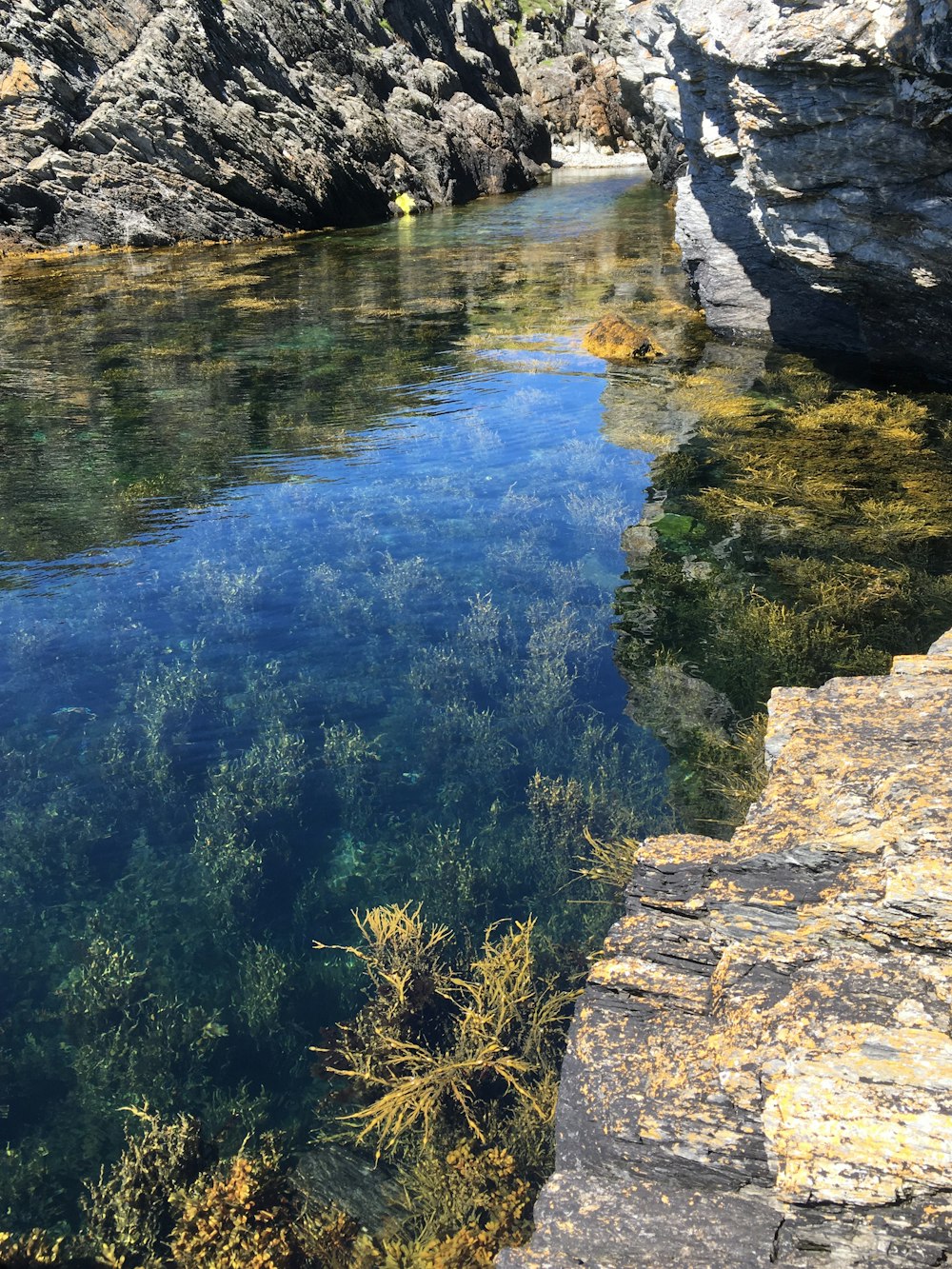 a body of water surrounded by rocks and plants
