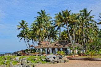 a house on the beach surrounded by palm trees