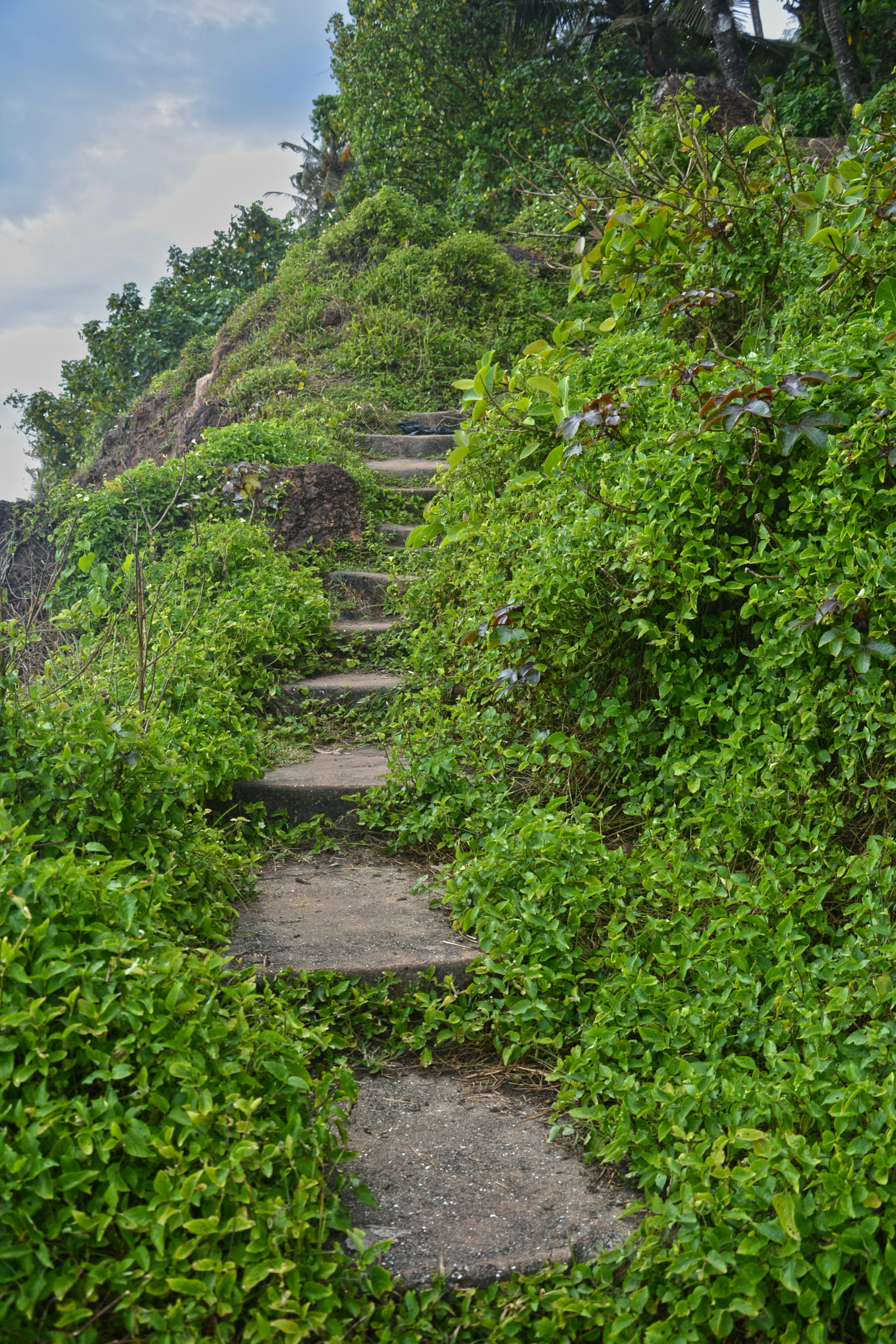 A set of steps leading up a steep hill photo – Free Varkala Image on ...