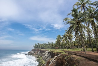 A sunlit view of Santa Barbara's coastline with palm trees swaying gently in the breeze.