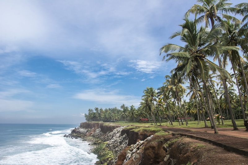 Kerala Backwaters & Beaches Getaway