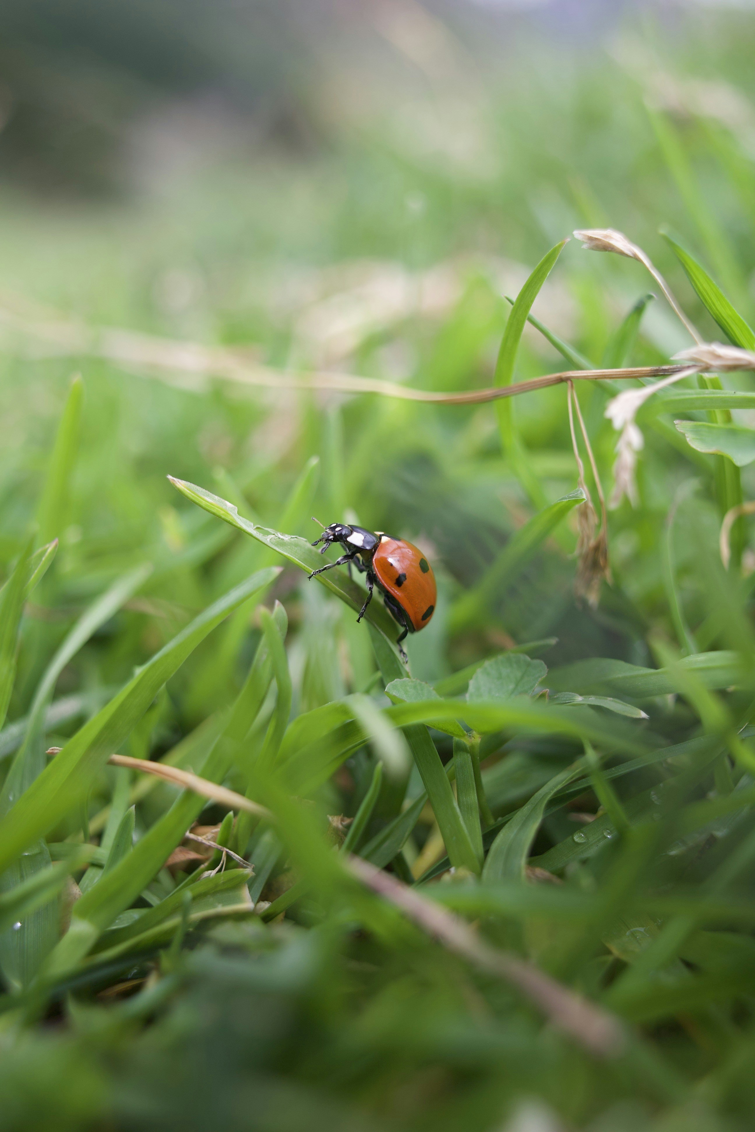 Photo by stockbirken