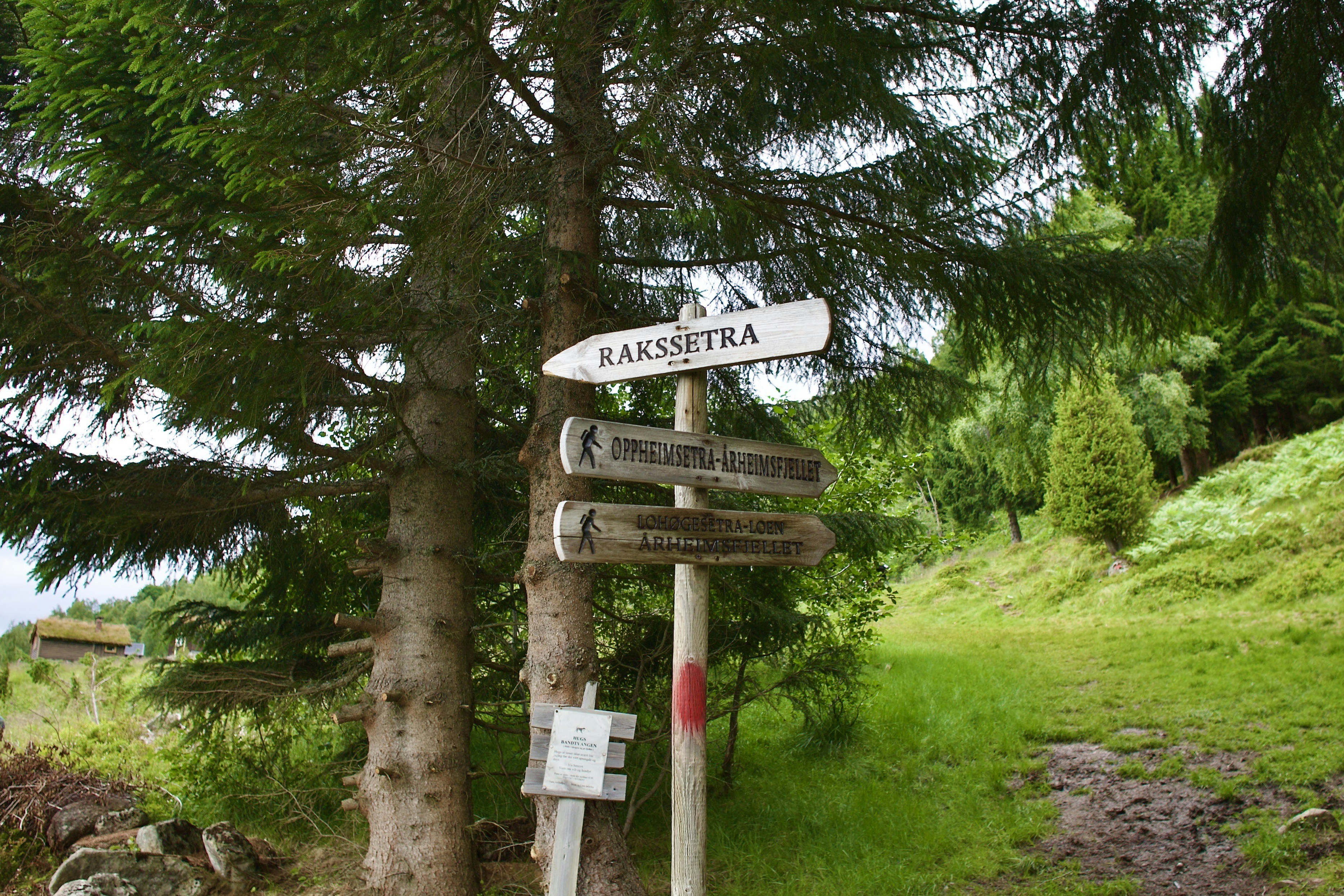 Photo by stockbirken