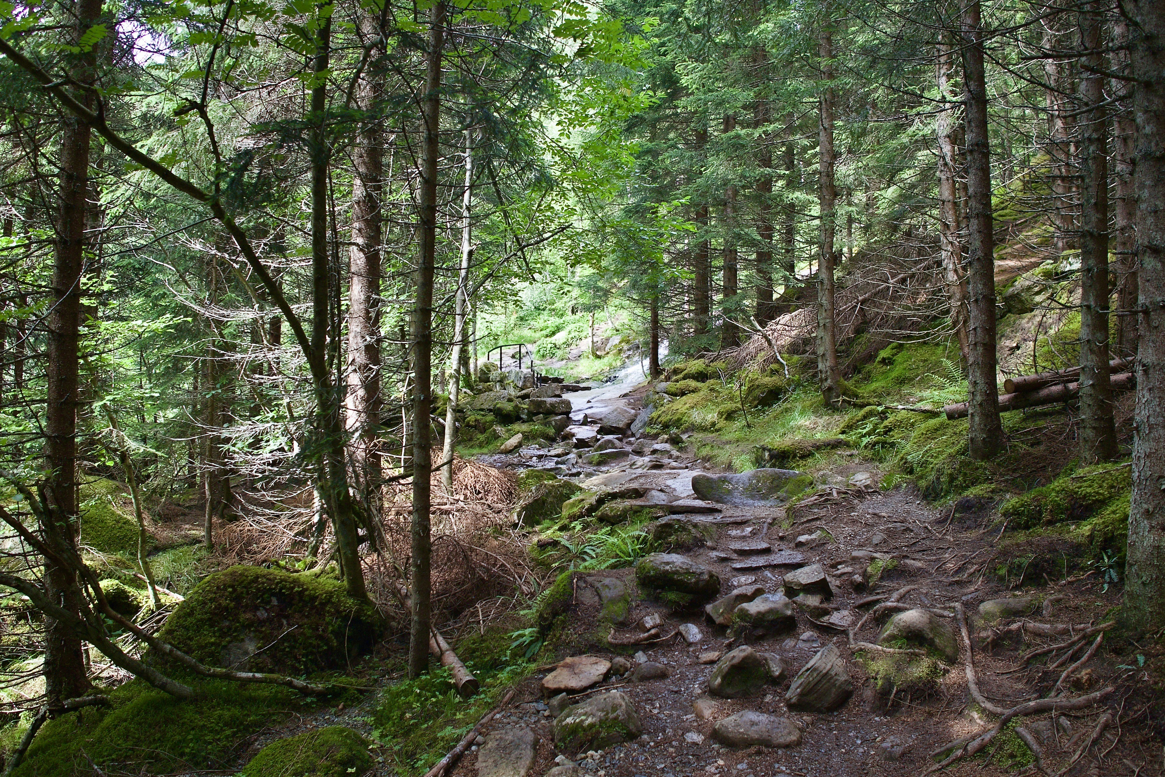 Photo by stockbirken