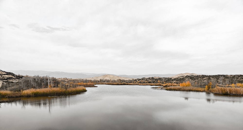 a body of water surrounded by mountains and trees