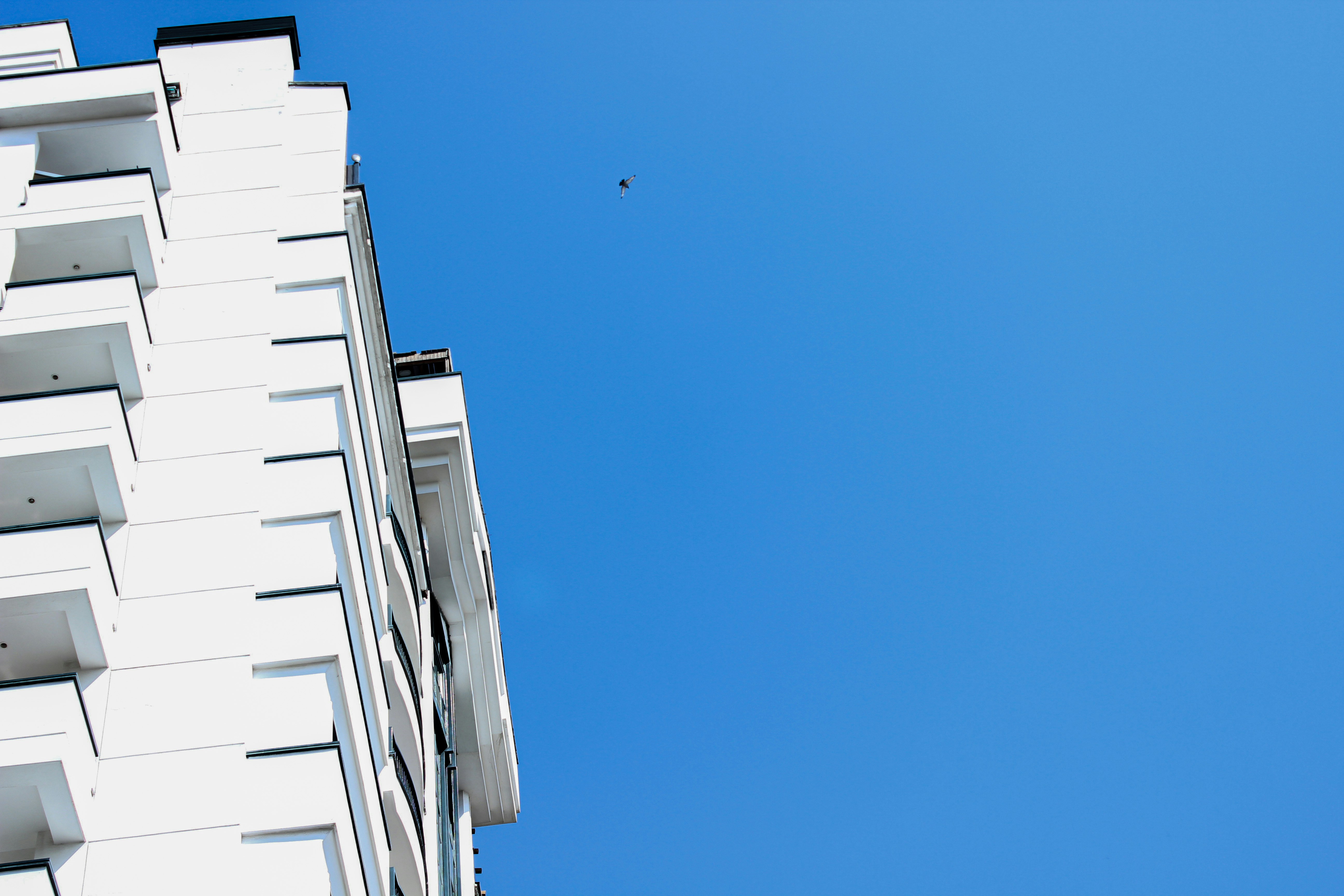 Photo by elham_frame