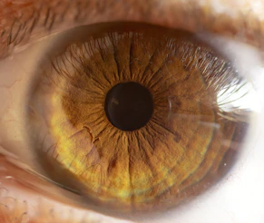 a close up of a person's brown eye