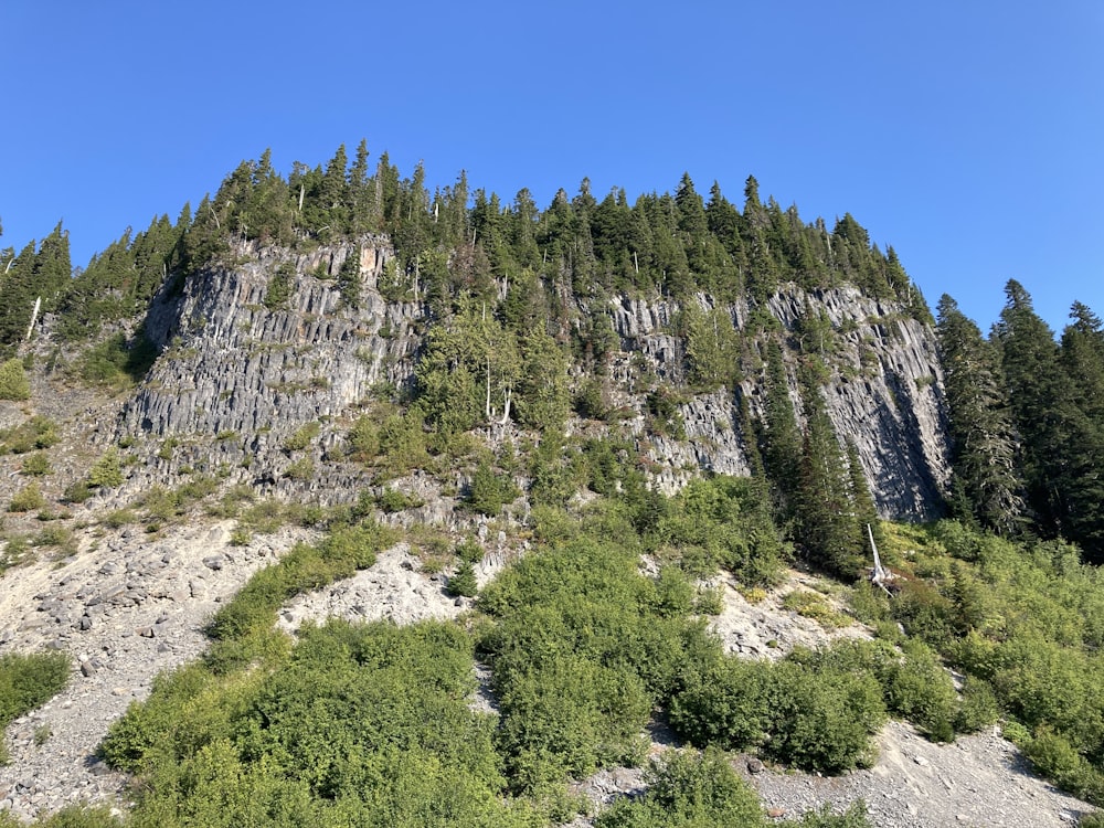 una montagna molto alta con molti alberi in cima