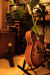 A wooden electric guitar with a sunburst finish leans against a stand. Large green plant leaves partially obscure various items, including an old television and a shelf filled with miscellaneous objects. A drum pedal is visible on the floor, and the lighting in the room is warm and ambient.