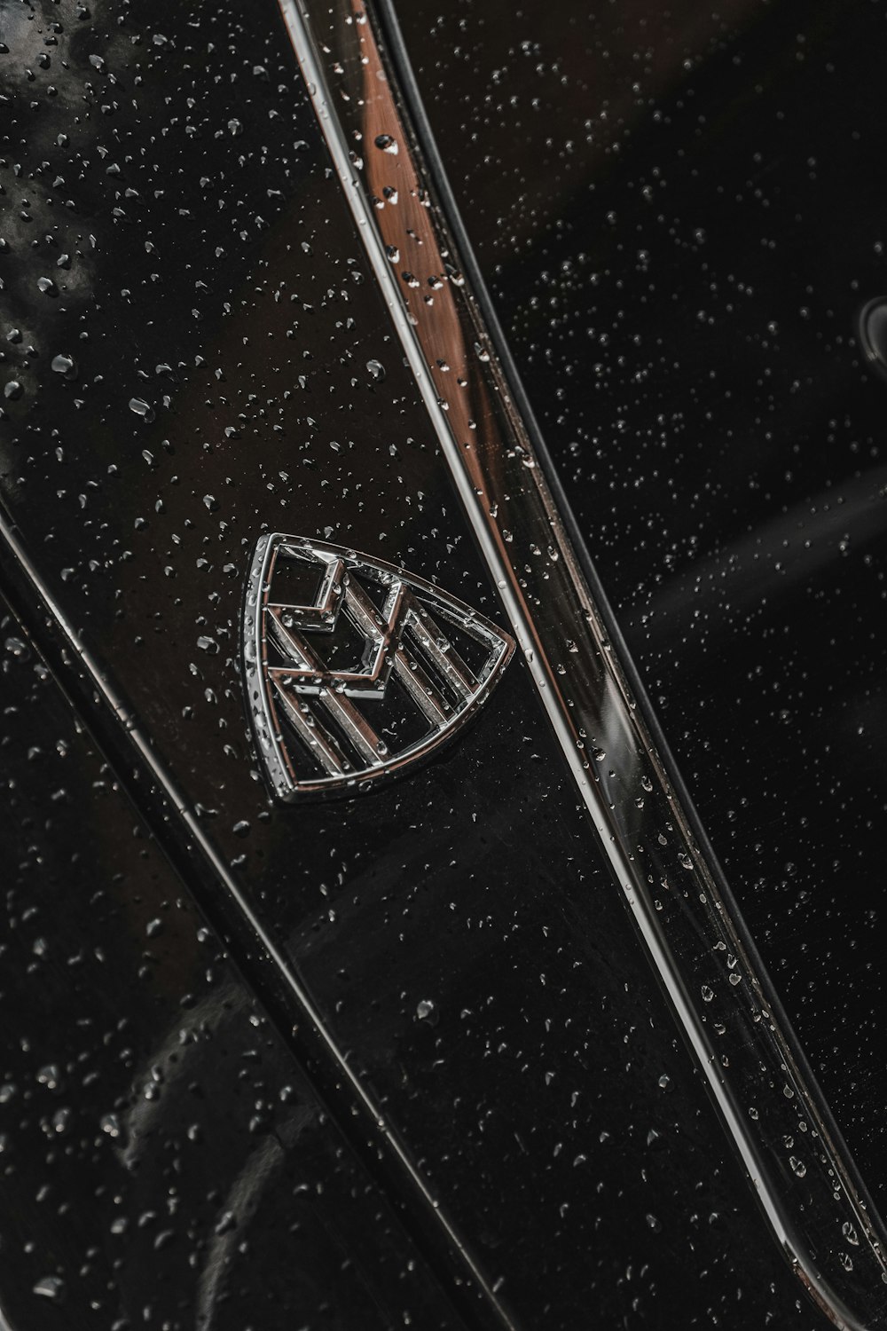 a close up of the emblem on a black car