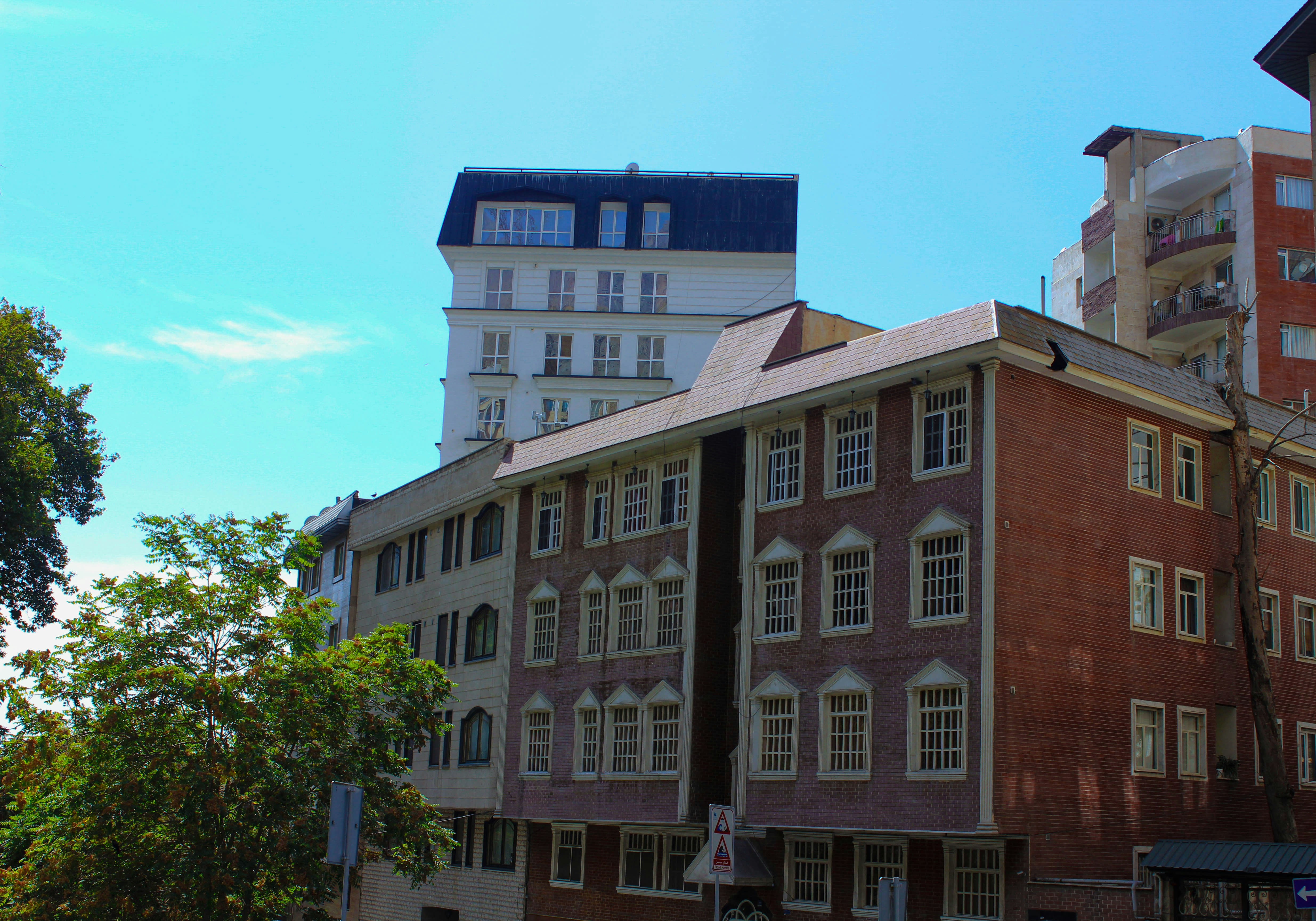 Photo by elham_frame