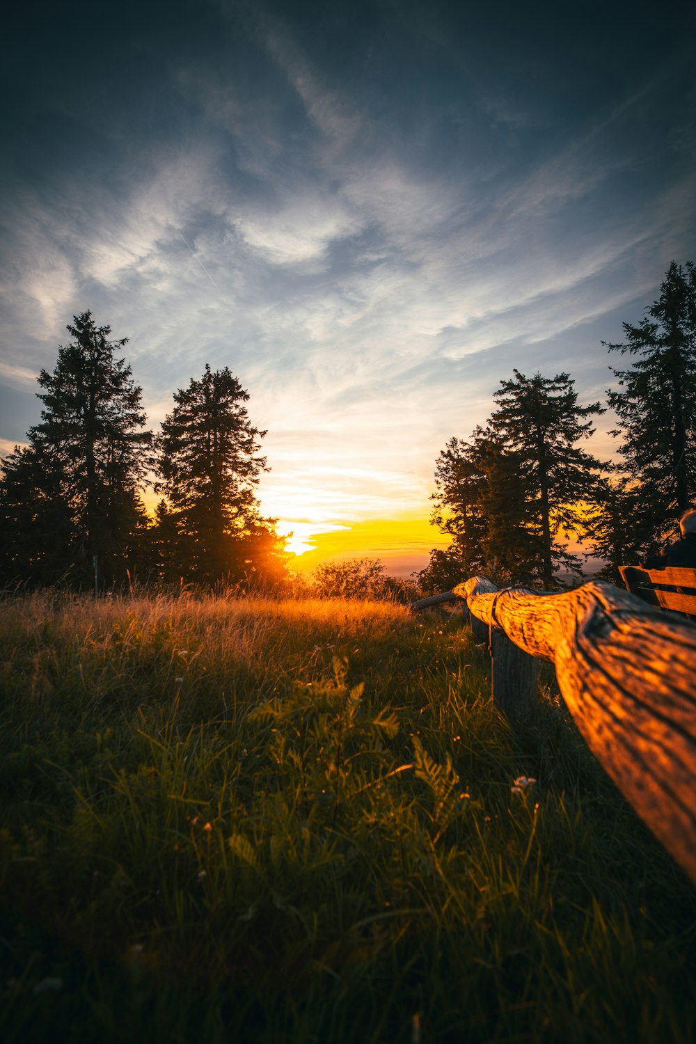 the sun is setting over a grassy field