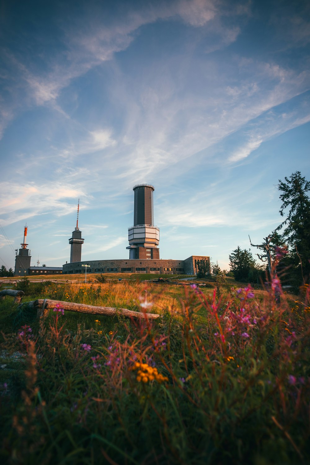 a tall building sitting on top of a lush green field