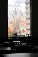 A dimly lit interior features rows of black chairs arranged in a classroom setting. Through a large window, a tree with red and orange autumn leaves is visible, set against the blurred background of a building.