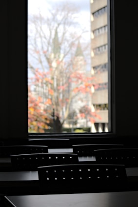 A dimly lit interior features rows of black chairs arranged in a classroom setting. Through a large window, a tree with red and orange autumn leaves is visible, set against the blurred background of a building.