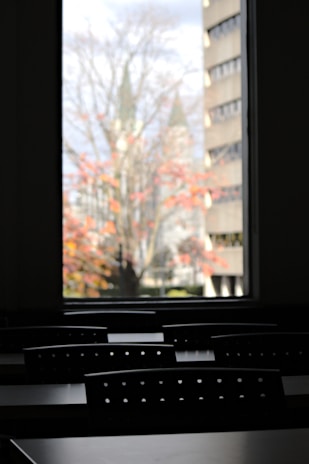 A dimly lit interior features rows of black chairs arranged in a classroom setting. Through a large window, a tree with red and orange autumn leaves is visible, set against the blurred background of a building.