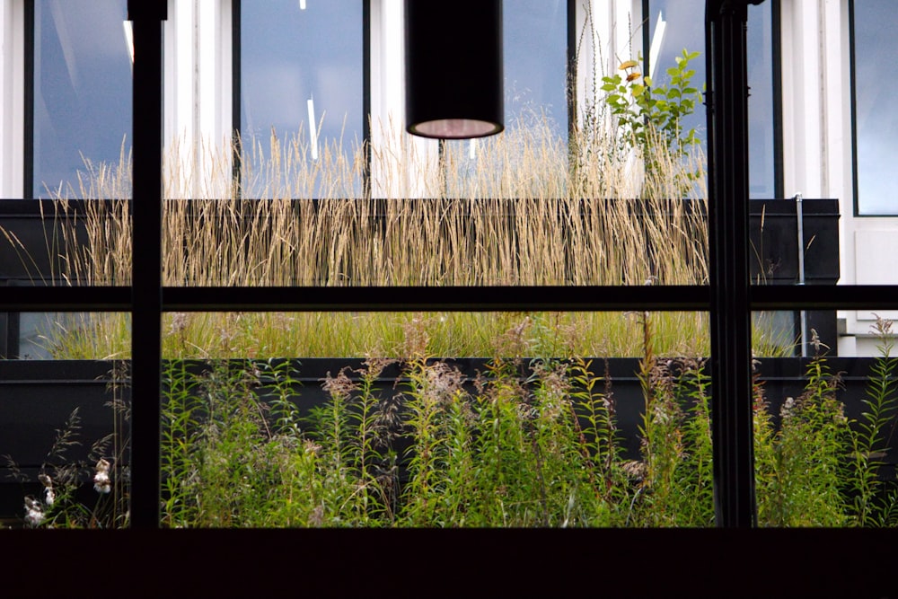 a view of a building through a window