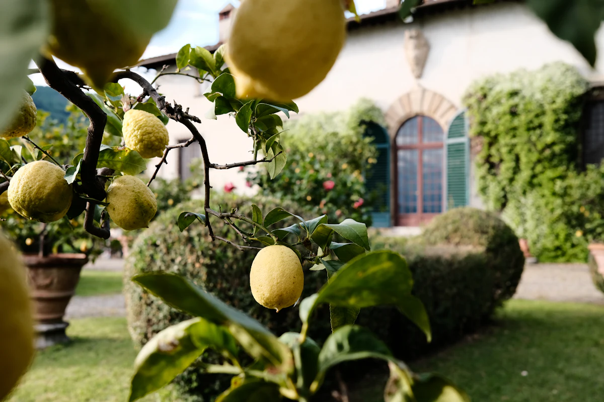 Casale con terreno in Santo Spirito