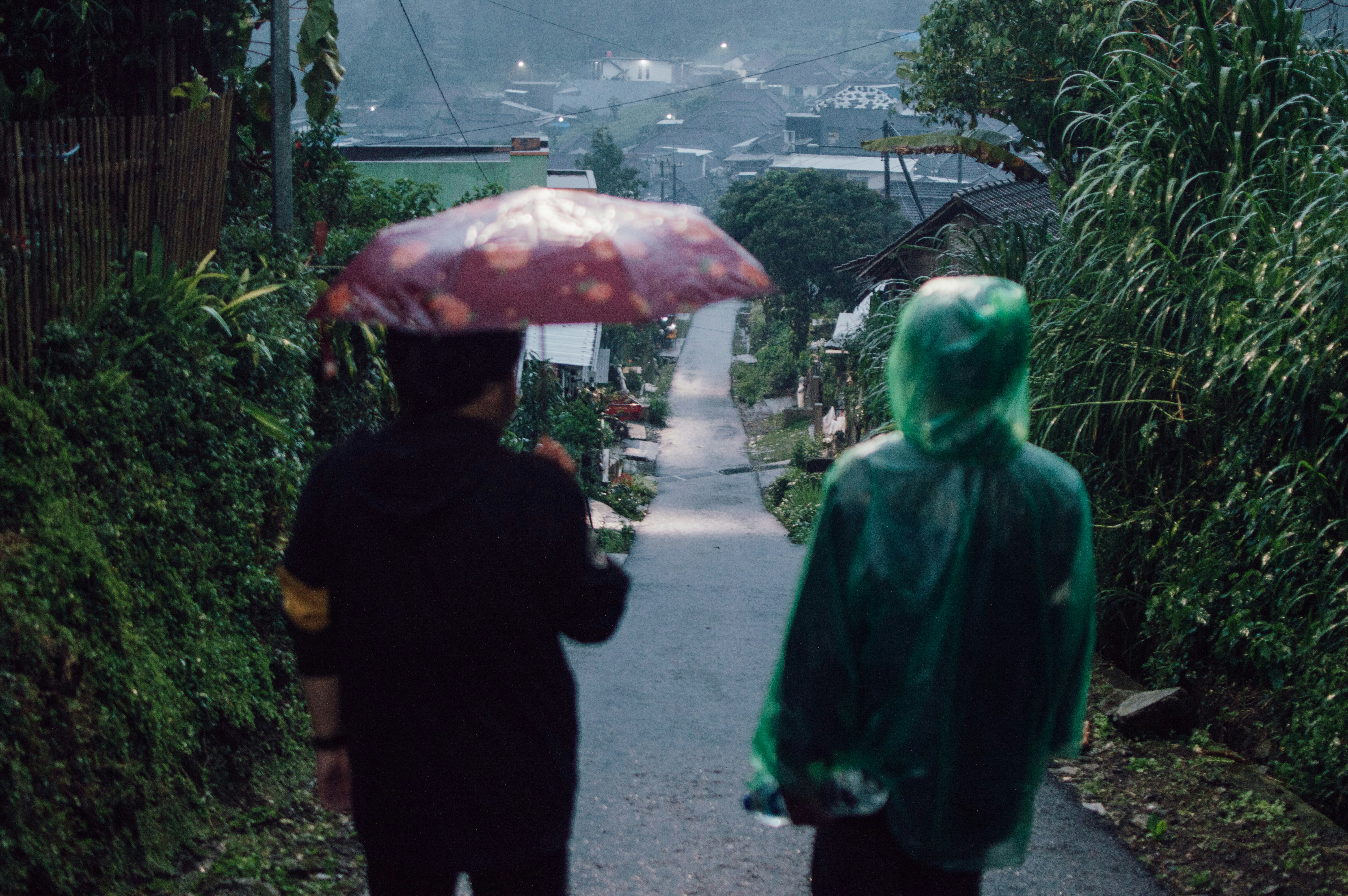 Photo by shot_ed