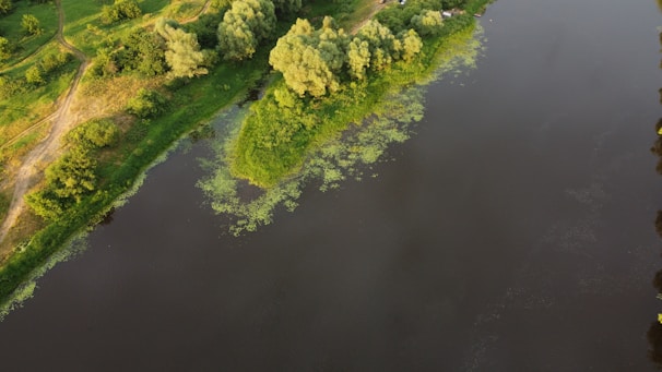 A scenic view of lush greenery from the water's perspective.