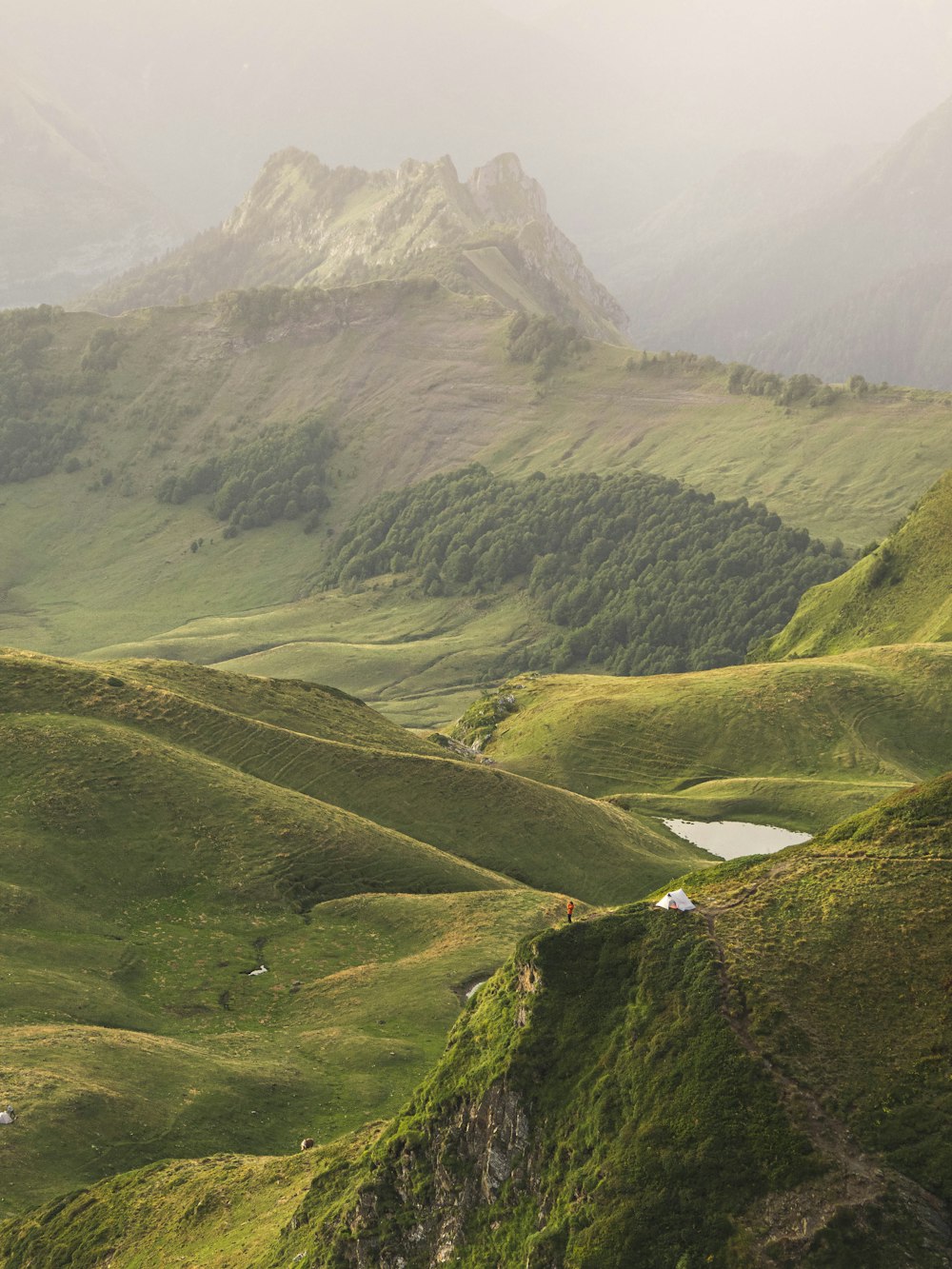 a view of a valley with mountains in the background