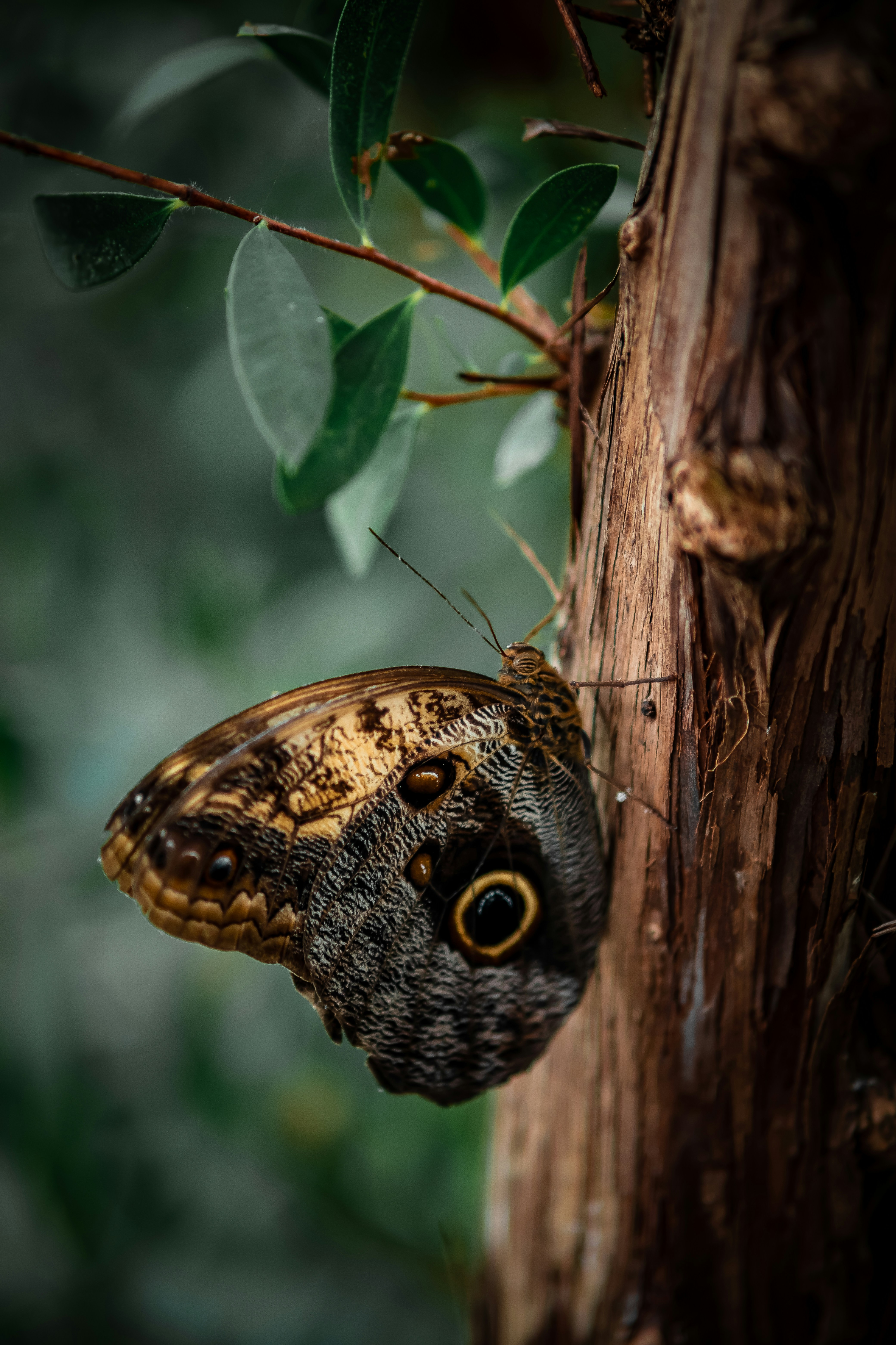 Photo by tamarabadran