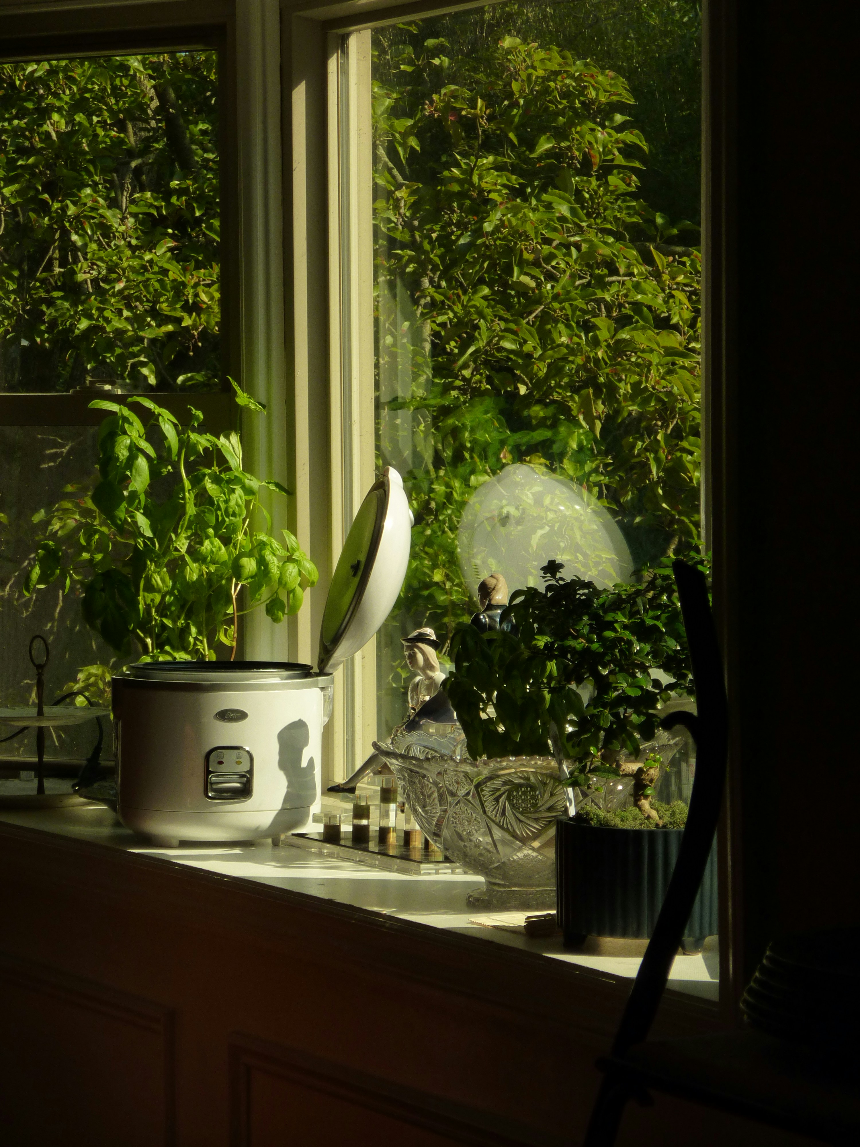 Photo by jhudsongraves