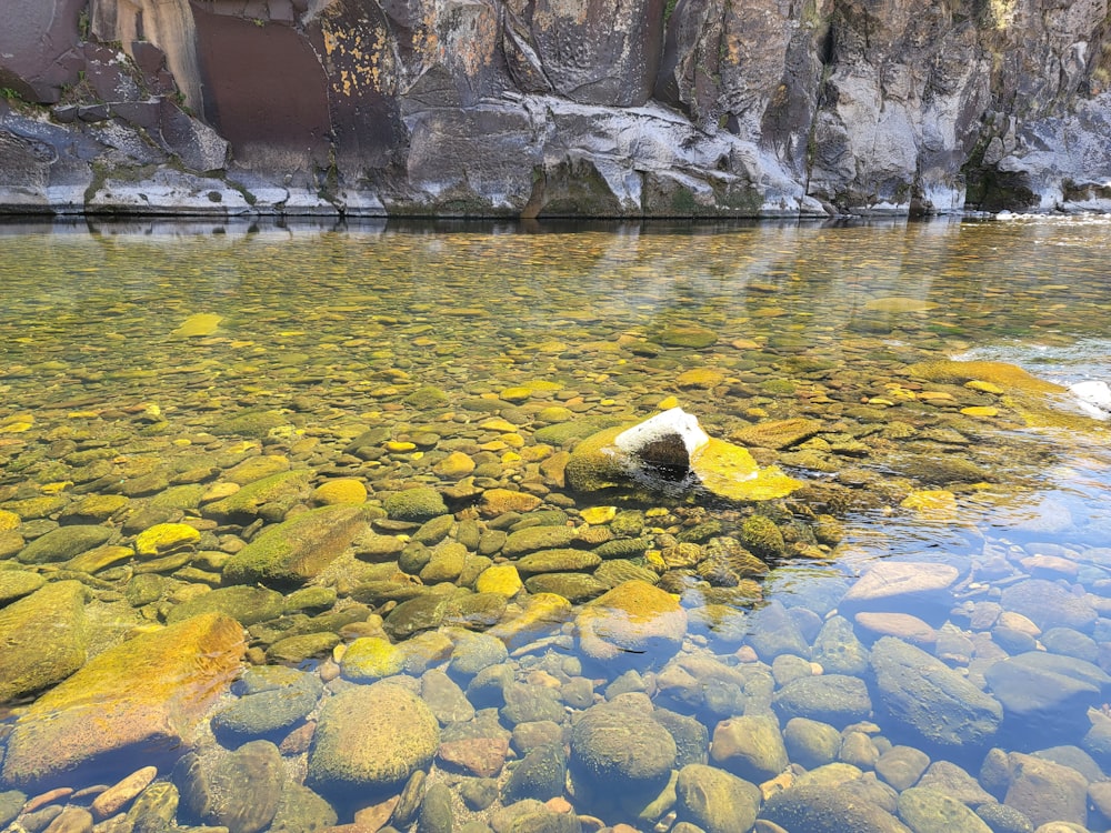 a body of water surrounded by rocks and snow