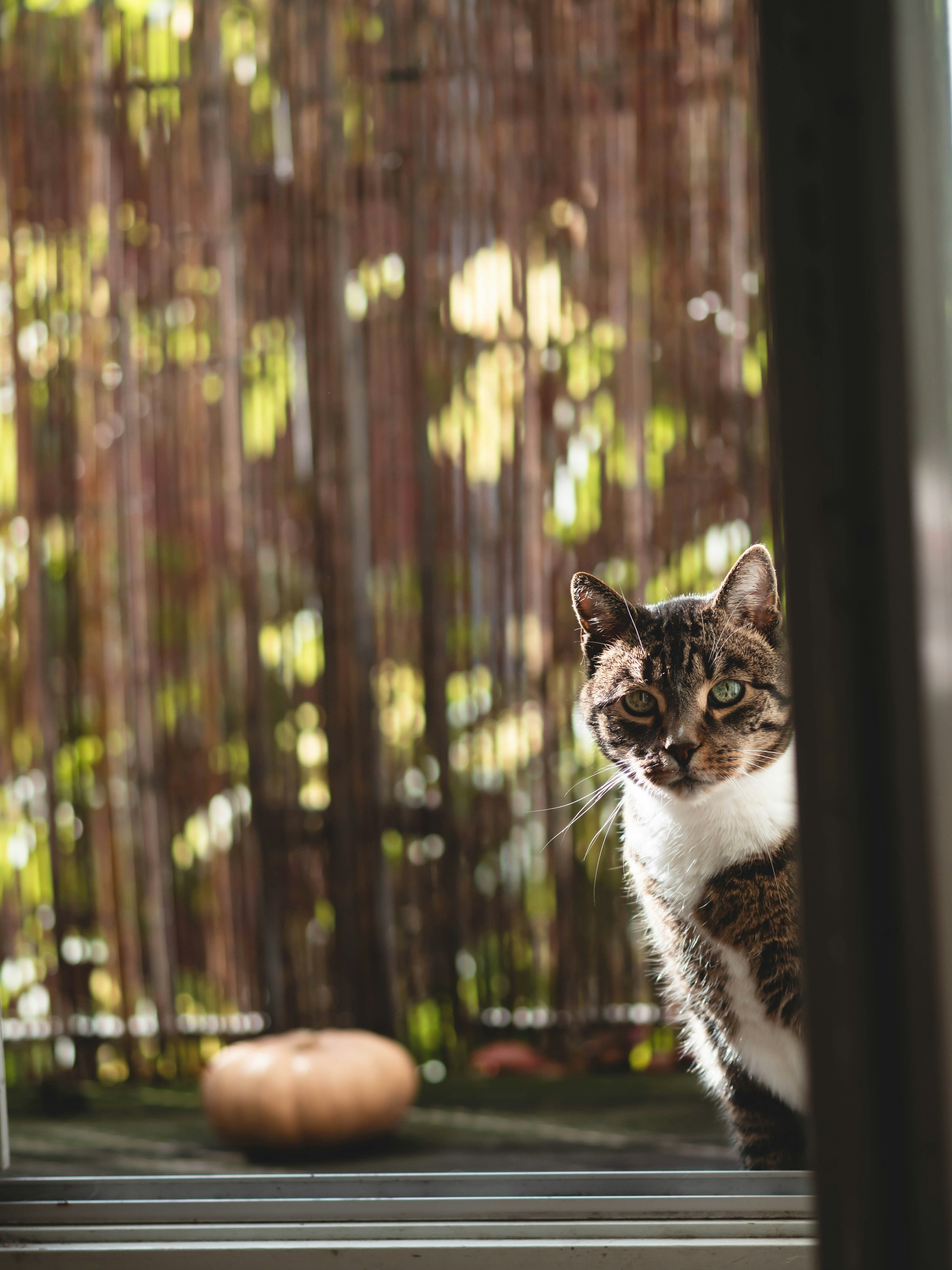 Photo by eileen_kummer