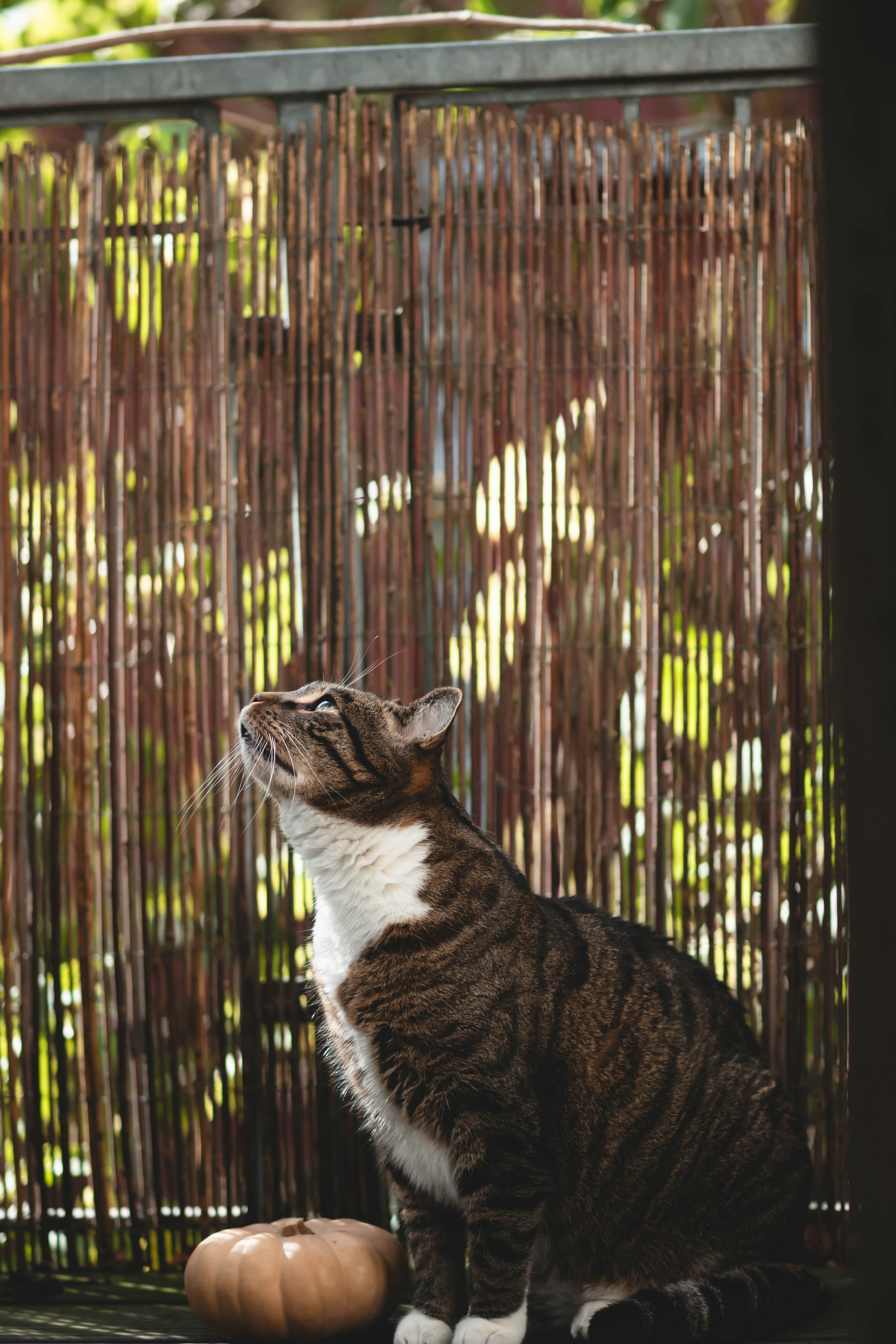 Photo by eileen_kummer