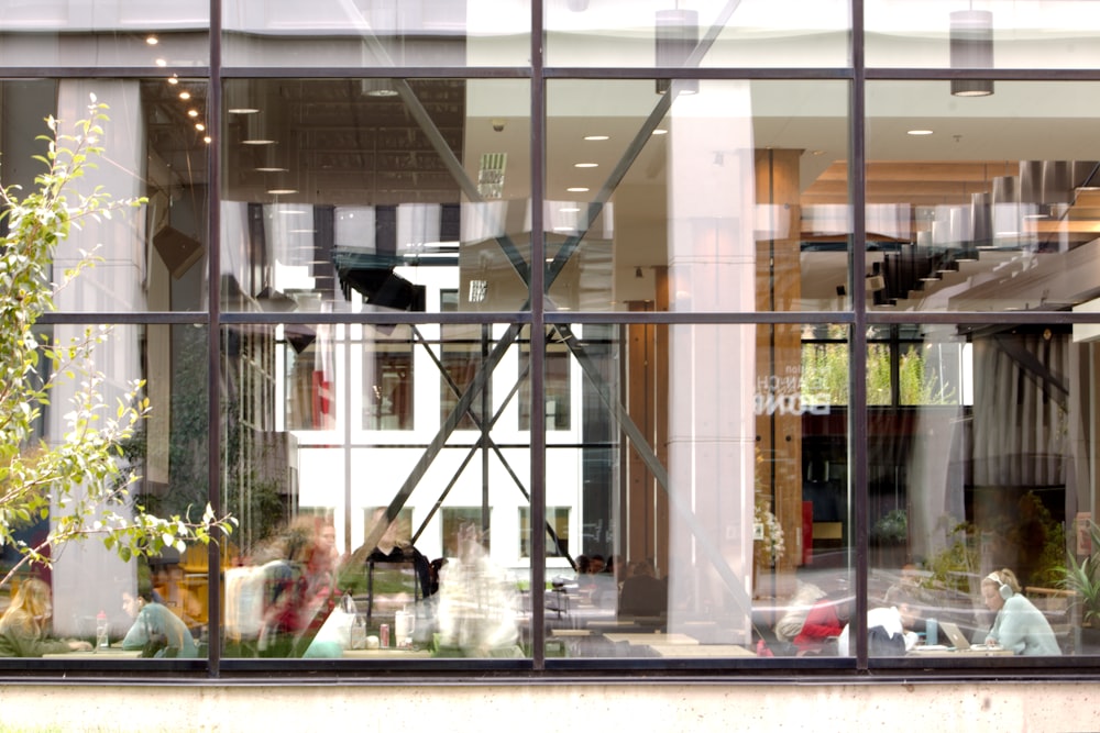 une vitrine de magasin avec un chat assis sur le rebord de la fenêtre