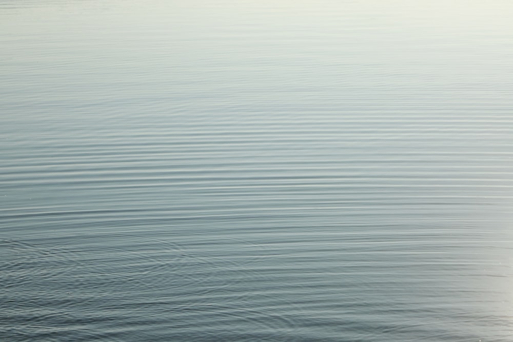 a person in a canoe paddling on the water