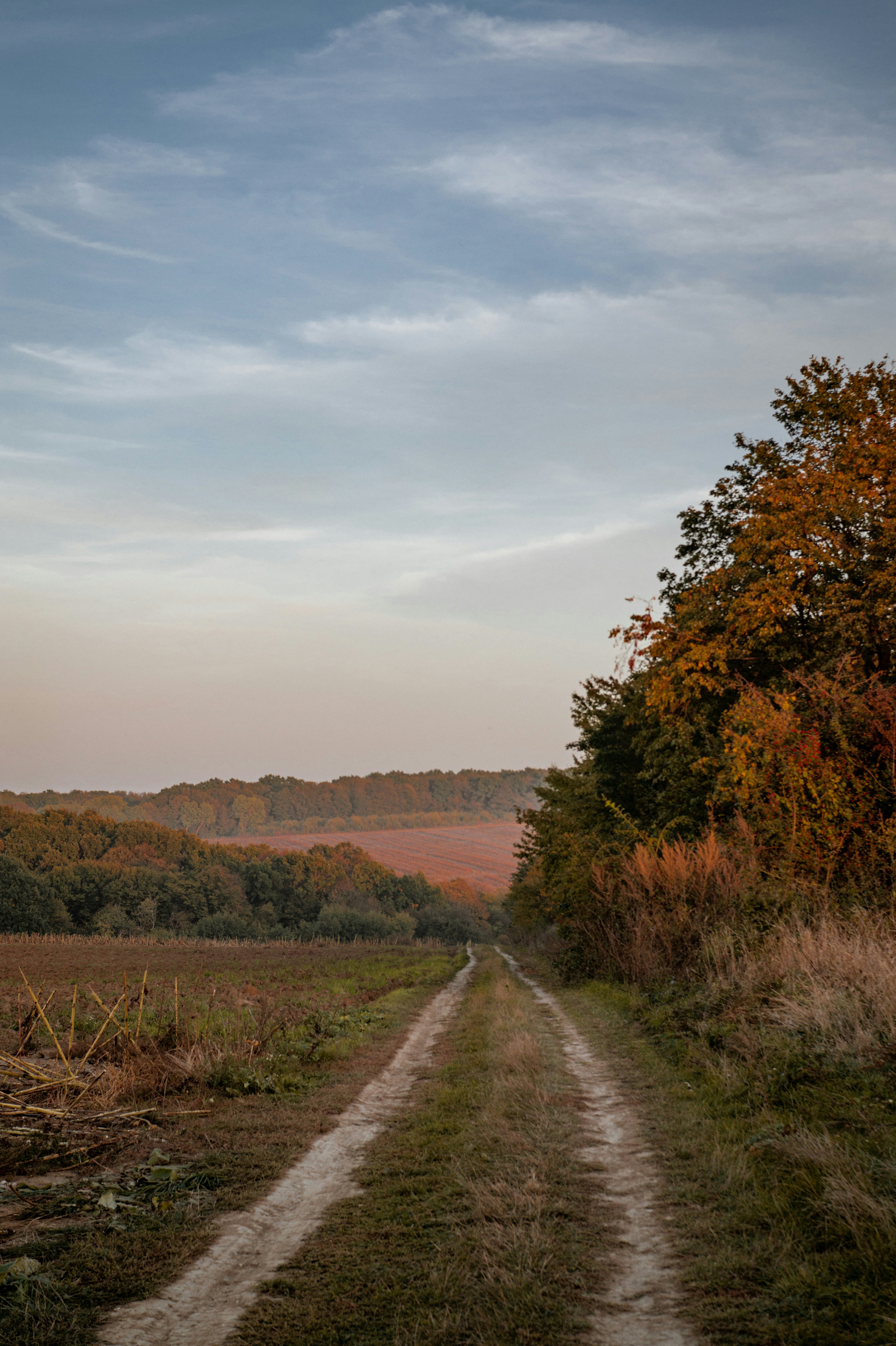 kids bedroom wallpaper, wallpaper, Kids Bedroom Ideas with Lighting: Design & Inspiration 6