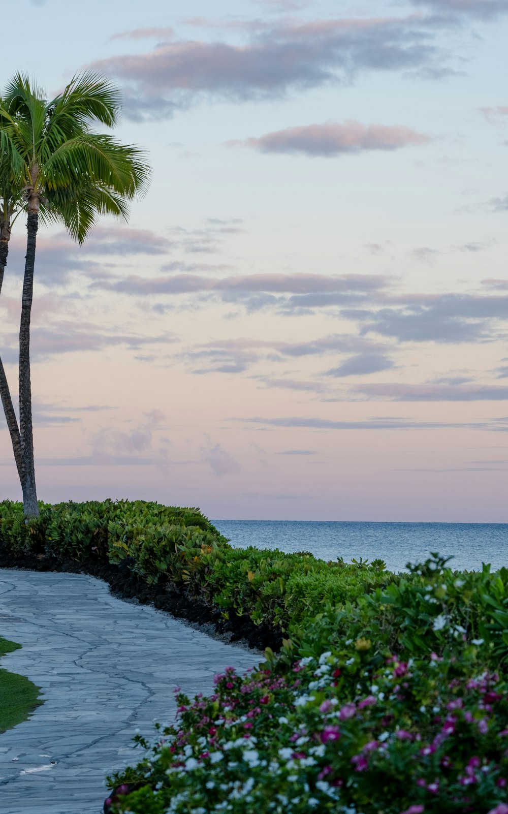 a couple of palm trees sitting on top of a lush green field