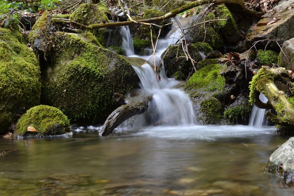 a small waterfall with moss growing on the rocks