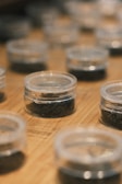 Small transparent containers are arranged on a wooden surface. Each container holds a dark substance, potentially dried leaves or herbs. The focus is on the containers in the foreground, with a gradual blur effect on those further away.
