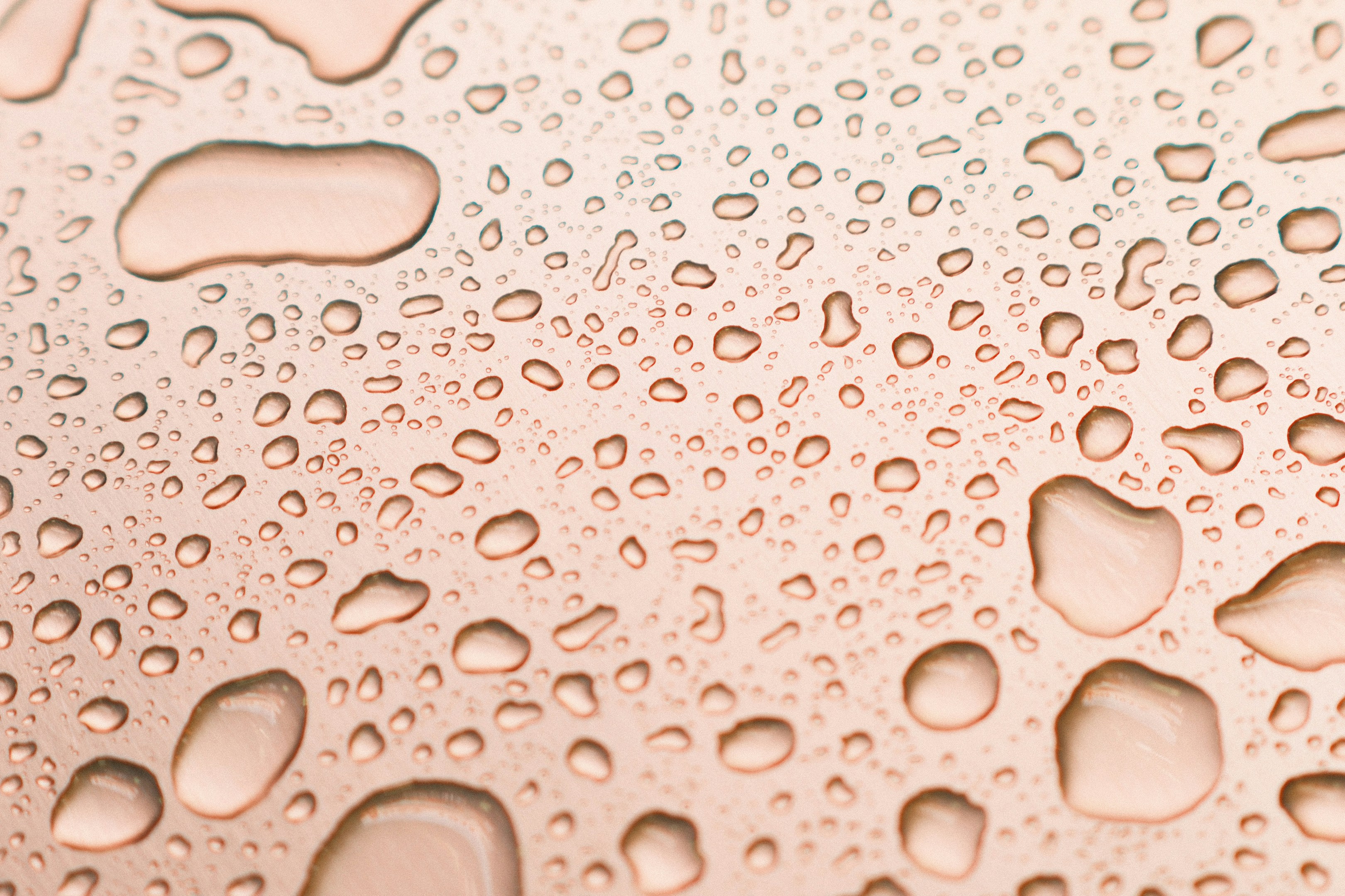 Photo by yokonoito0512