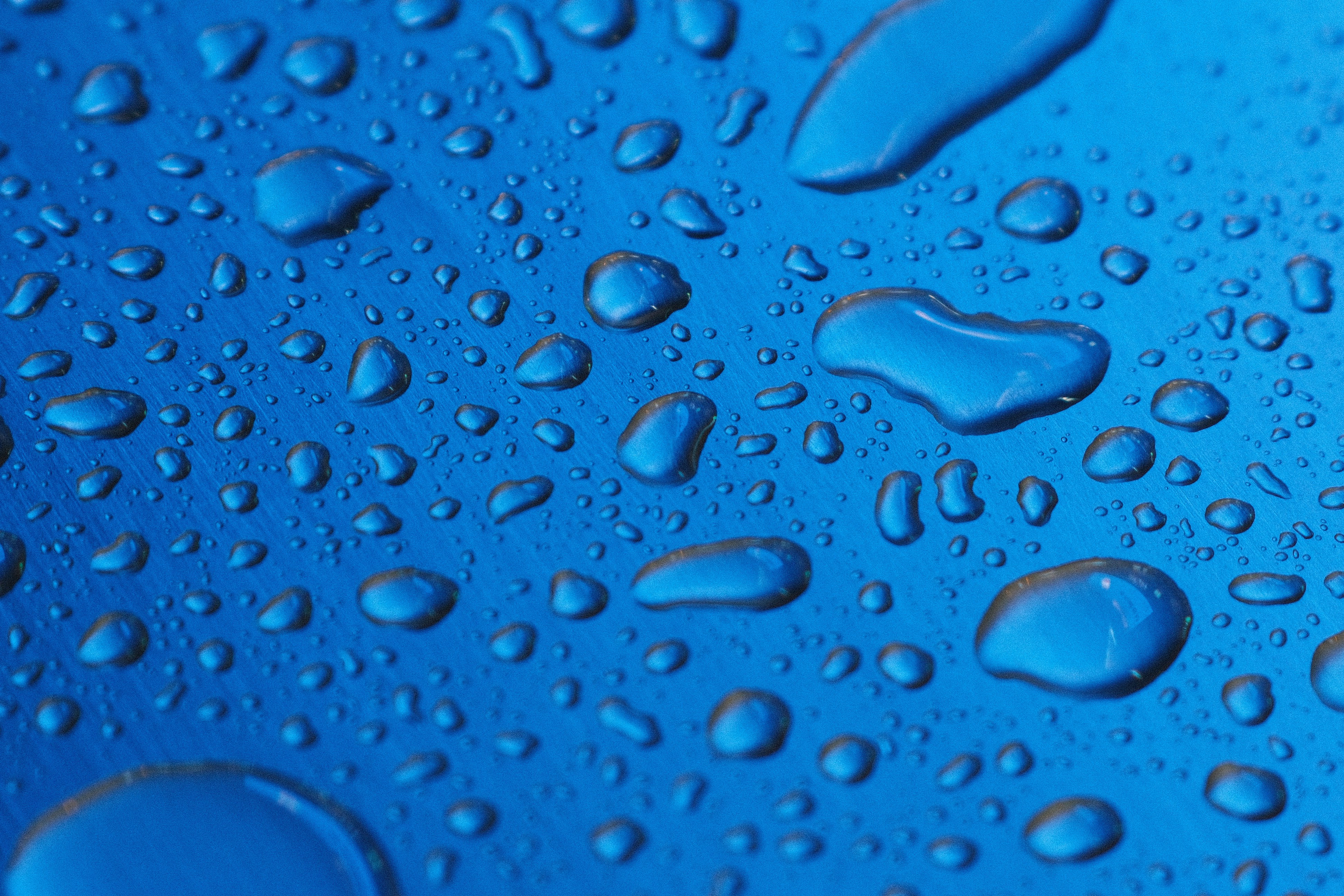 Photo by yokonoito0512