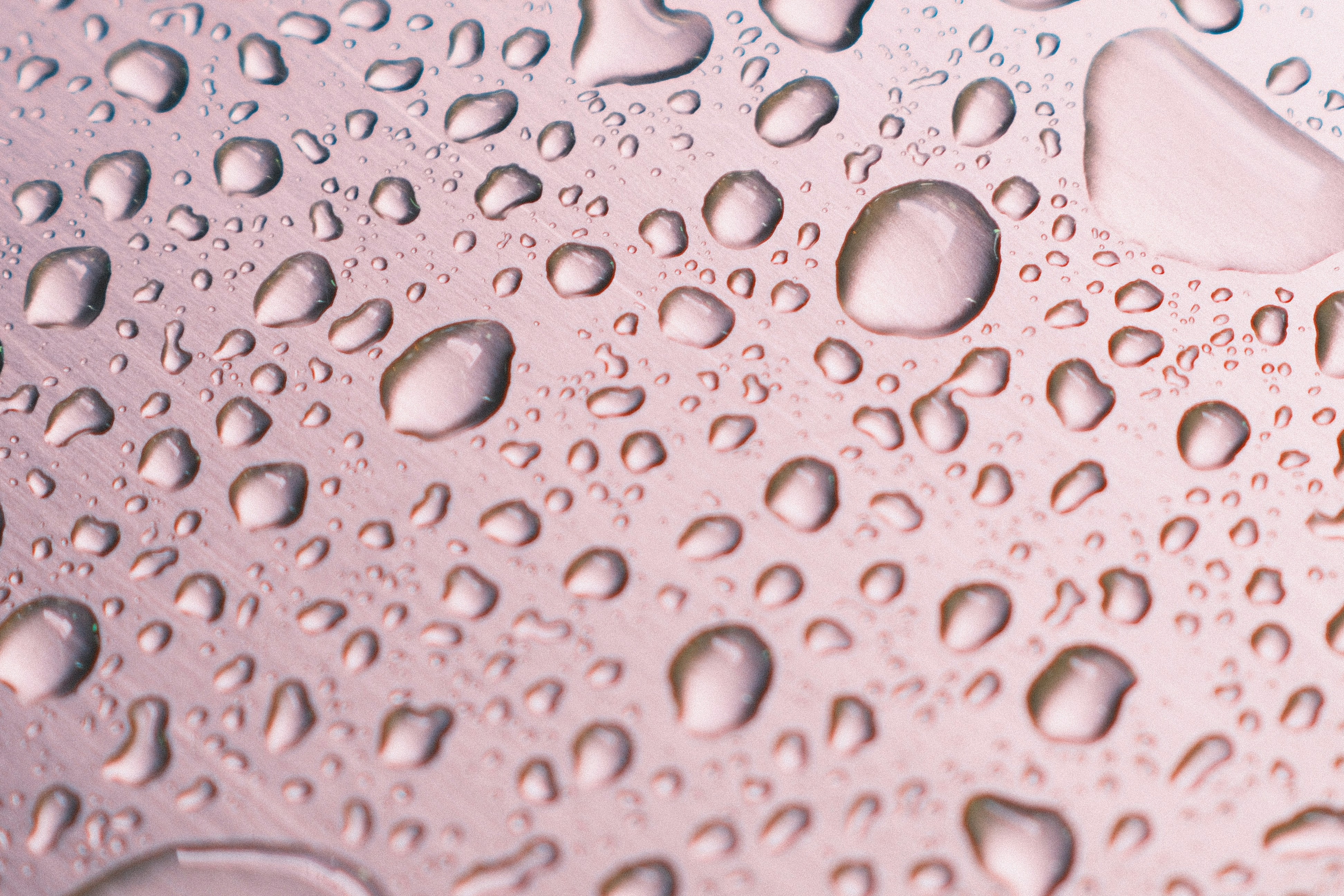 Photo by yokonoito0512