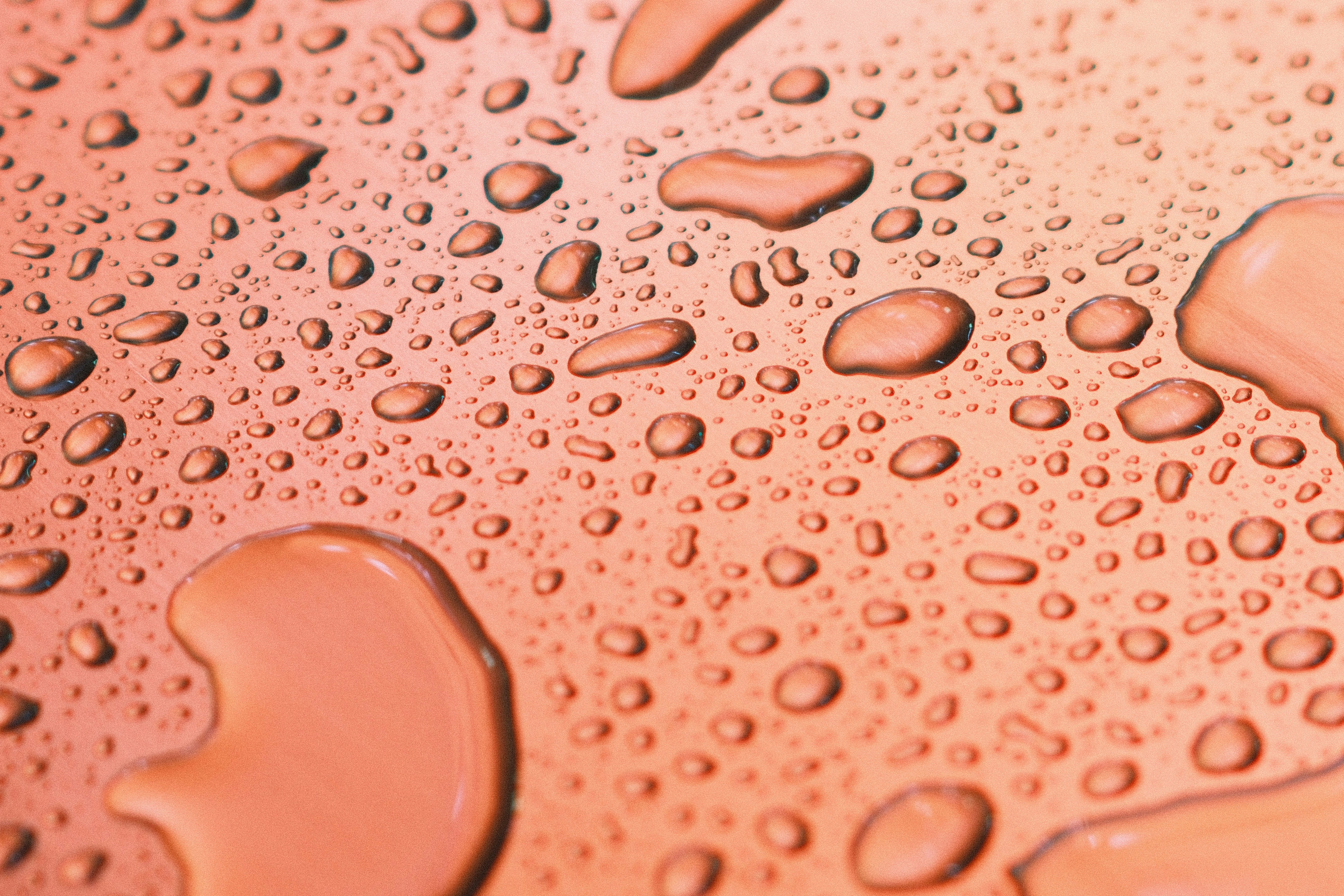 Photo by yokonoito0512