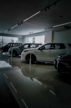 Several cars are displayed inside a modern, well-lit showroom with a sleek and polished floor. Large windows provide natural light.