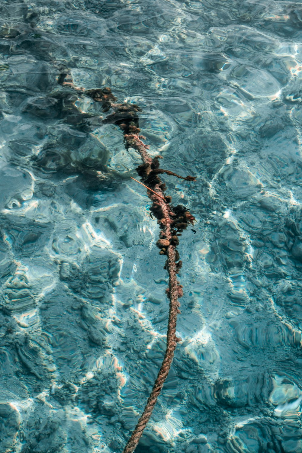a rope in the middle of a body of water