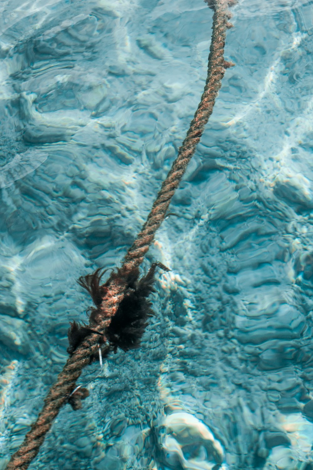 a rope that is in the water next to a body of water